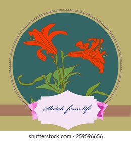 Card with branch of lily on a circle, label. Hand drawn. Sketch from life.