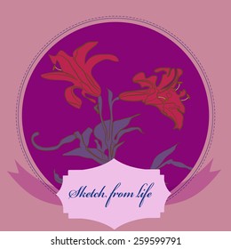 Card with branch of lily on a circle, label. Hand drawn. Sketch from life.