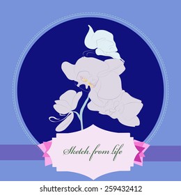 Card with branch of orchid, label. Hand drawn. Sketch from life.