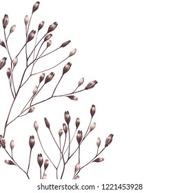Card and branch wild dried flowers  Veclor botanical illustration  
