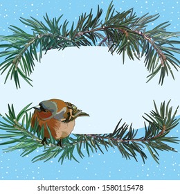 Card with bullfinch on the fir tree. Postcard for New Year and Christmas. Vector illustration, EPS 10.
