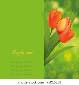 Card with bunch of beautiful spring tulips
