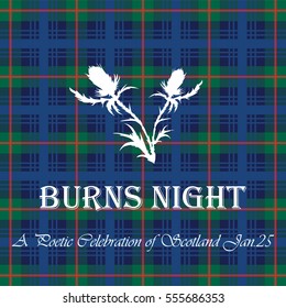 The card Burns Night on tartan background with white thistle. Vector illustration.