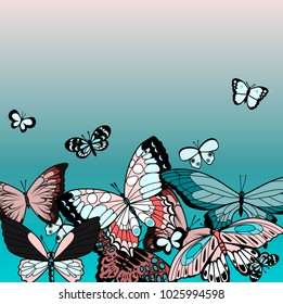 card with butterflies