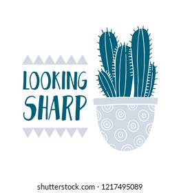 Card cactus pot and succulent in sketch style. Flat drawing element design. Decoration collection plant. Vector illustration.