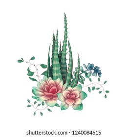 Card with cactuses and succulents set. Plants of desert.