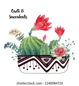 Card with cactuses and succulents set. Plants of desert.
