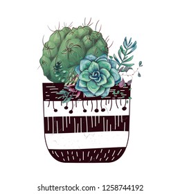 Card with cactuses and succulents set. Plants of desert.