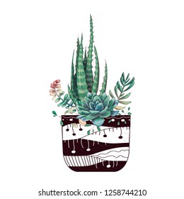 Card with cactuses and succulents set. Plants of desert.