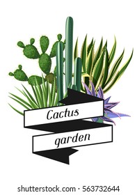 Card with cactuses and succulents set. Plants of desert.