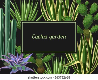 Card with cactuses and succulents set. Plants of desert.