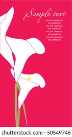 Card with Callas