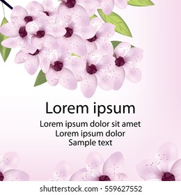 Card with cherry or sakura blossom and text. Vector illustration.