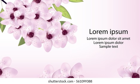 Card with cherry or sakura blossom and text. Vector illustration.