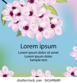 Card with cherry or sakura blossom and text. Vector illustration.