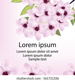 Card with cherry or sakura blossom and text. Vector illustration.