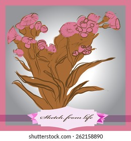 Card with colored  bouquet of branch, label. Hand drawn. Sketch from life.