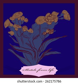 Card with colored bouquet of  branch, label. Hand drawn. Sketch from life.