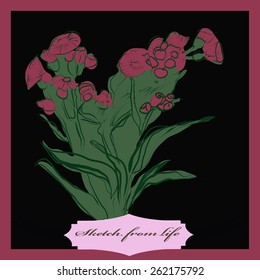 Card with colored bouquet of  branch, label. Hand drawn. Sketch from life.