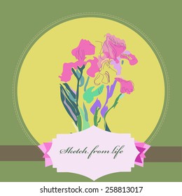 Card with colored branch of irises, label on a circle. Hand drawn. Sketch from life.