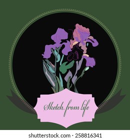 Card with colored branch of irises, label on a circle. Hand drawn. Sketch from life.