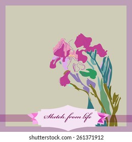 Card of colored branch of irises, label. Sketch from life. Hand drawn.