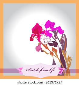 Card of colored branch of irises, label. Sketch from life. Hand drawn.