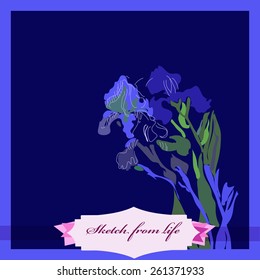 Card of colored branch of irises, label. Sketch from life. Hand drawn.