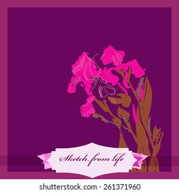 Card of colored branch of irises, label. Sketch from life. Hand drawn.
