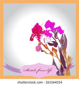Card of colored branch of irises, label. Sketch from life. Hand drawn.