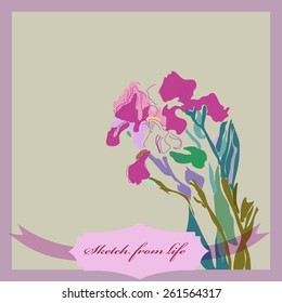 Card of colored branch of irises, label. Sketch from life. Hand drawn.