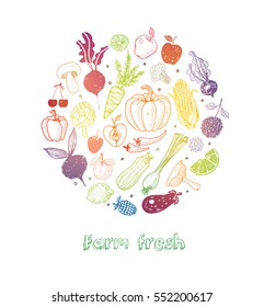 Card with colored Doodle fruits and vegetables on white background. Vector sketch illustration of healthy food.