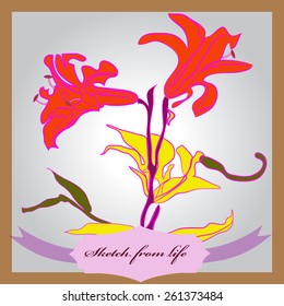 Card with colored floral motif, branch of lily, leaves, flowers, label. Hand drawn.
