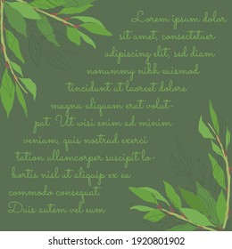 Tarjeta con hojas de Laurel y pelucas en las esquinas. Fondo Verde Oscuro. Ilustración vectorial para revista, libro de recetas, afiche, tarjeta, portada de menú, cualquier publicidad.