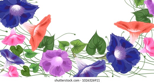 Card from convolvulus with a bouquet of bright colors of convolvulus, leaves and flowers, painted in a vector of blue, pink, green, trim