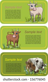 card with cow