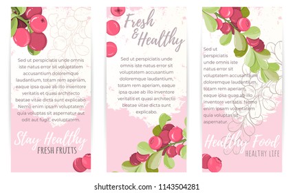 Card of cranberry on light background. Berry elements for invitations, menu, advertising, juice, food, cosmetics or health products. Perfect for cards, invitation, banner or website
