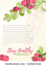 Card of cranberry on light background. Berry elements for invitations, menu, advertising, juice, food, cosmetics or health products. Perfect for cards, invitation, banner or website