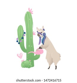Card with cute hand drawn llama animal watering cactus cartoon vector illustration isolated on white background. Design for cards and t-shirts or cases prints.