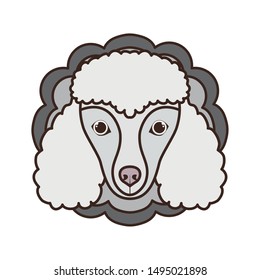 card cute and lovely of dog