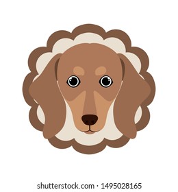 card cute and lovely of dog