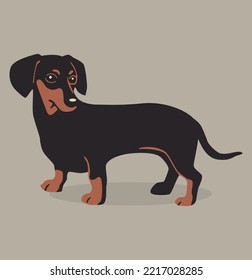 The card with dachshund. Vector illustration. 