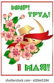Card for day of Spring and Labor. Mayday card with branch of cherry flowers and russian symbol of labor gold hammer and sickle. Russian translation: Peace, Labor, 1 May. Vector illustration