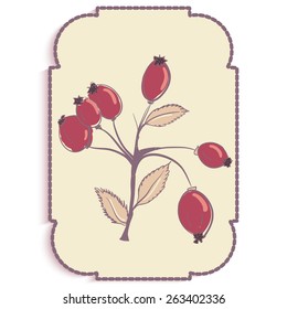  Card design with branches of wild rose. Doodle.