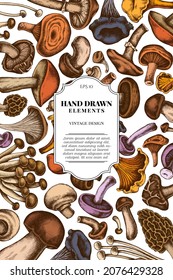 Card design with colored oyster mushroom, champignon, honey agaric, shiitake, porcini, morel mushroom, chanterelle, aspen mushroom, enoki , shimeji, black chanterelle, red pine mushroom, portobello