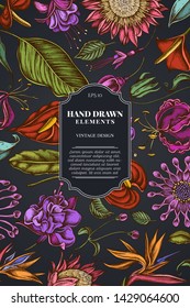 Card design on dark background with african daisies, fuchsia, gloriosa, king protea, anthurium, strelitzia
