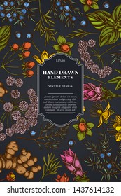 Card design on dark background with angelica, basil, juniper, hypericum, rosemary, turmeric