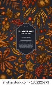 Card design on dark background with fern, dog rose, rowan, ginkgo, maple, oak, horse chestnut, chestnut, hawthorn