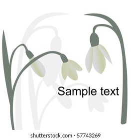 card design with stylized flower;  invitation for holidays and life events, with space for your text