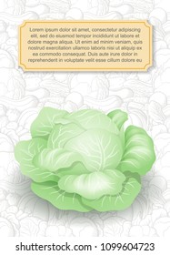 Card design template. Image of cabbage in semi-realistic style on background with line-art vegetables. Vector illustration on agricultural theme